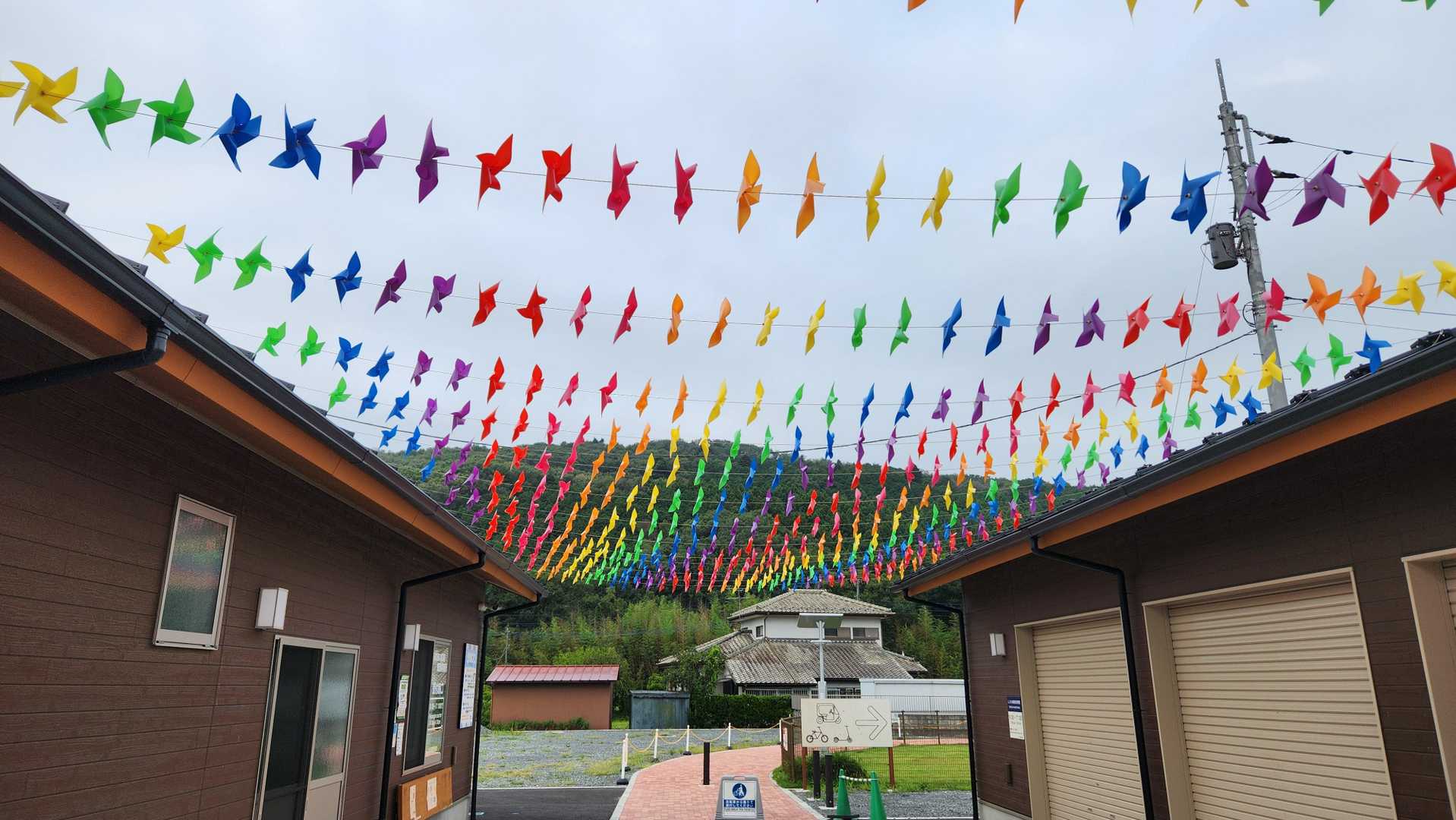 仙元山-城山 往復コースの写真
