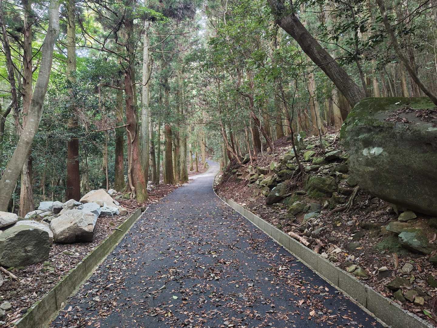 登山道に戻り、というか舗装路です。
この先山頂までコンクリート道です。