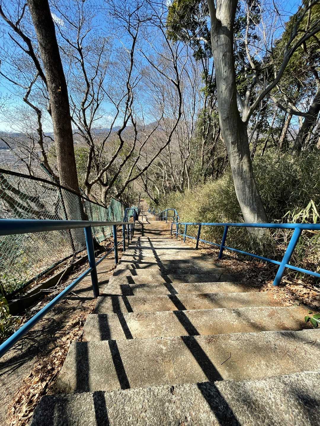 振り返って📸
長男に、帰る時に景色がわからなくなるといけないから、振り返って時々通って来た道を確認する様に言われたので…まだ早いか😅