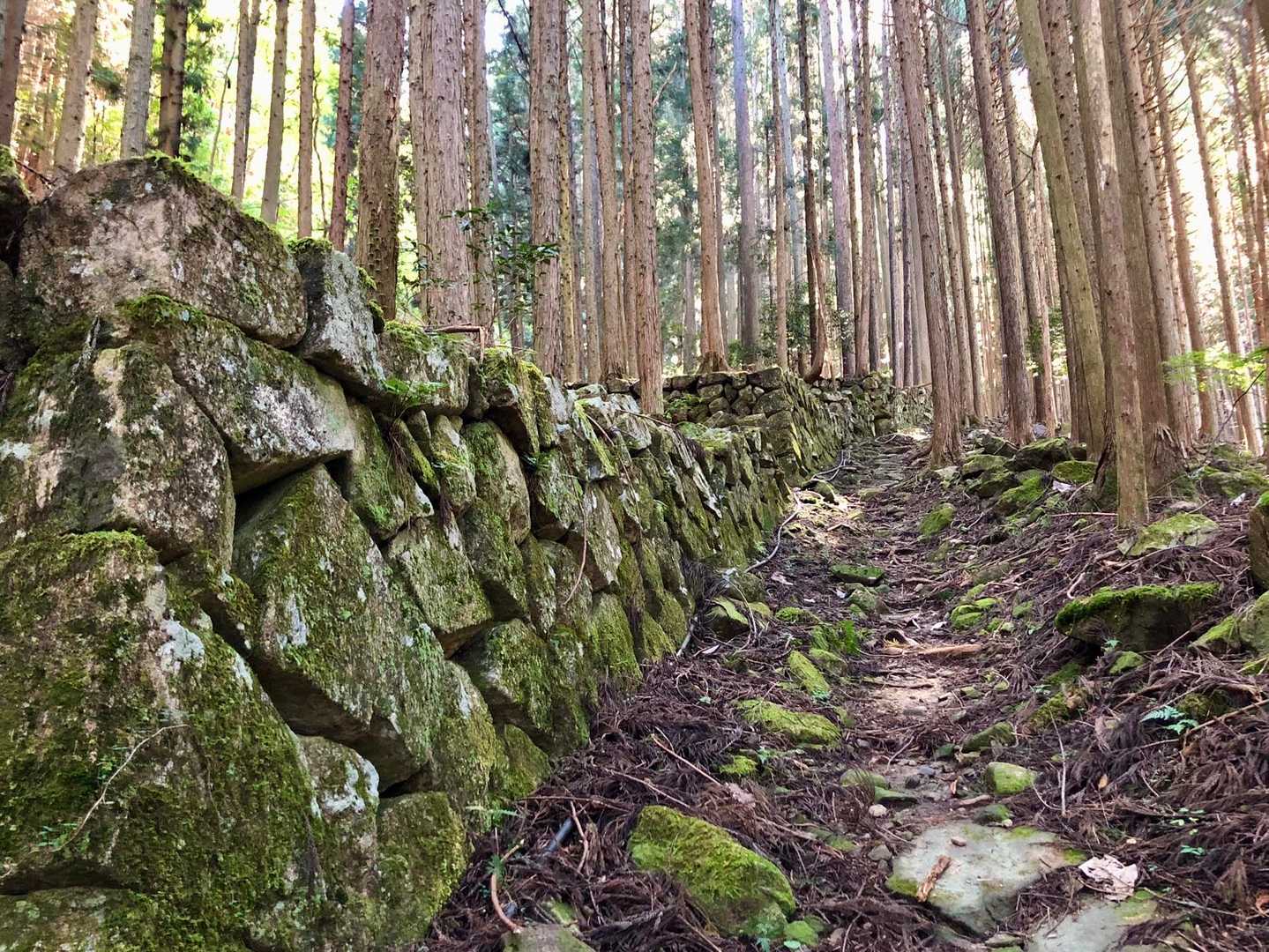 恵那のガソリンスタンドに子熊が侵入して暴れる昨今・・・
熊鈴鳴らしまくってスタート！
治山の石垣やろうか？