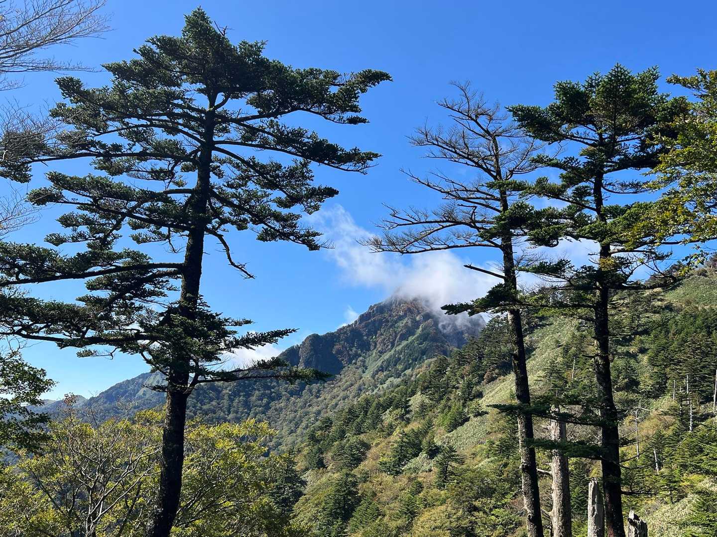 晴れてきたな