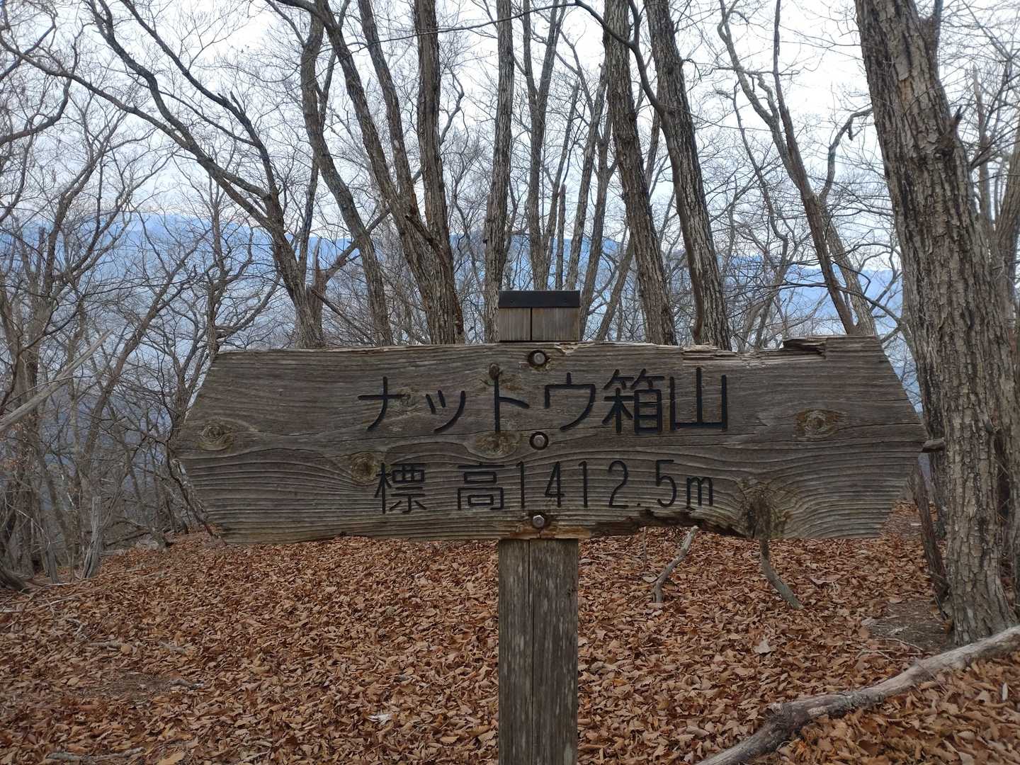 oh〜『ナットゥ？』
ノンノン、『ニャットゥ？』　
ノンノン、『ナットウ』　
オッケー❗ベリーグッド✊
なかなか発音が難しい
ナットウ箱山⛰
