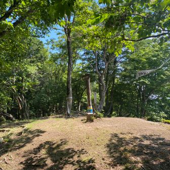 地蔵山
790ｍ　三等三角点
この先の地蔵峠でトレランの給水所があり大会が今日行われると初めて知る。「12時過ぎにトップランナーが南からここを通過する」とのこと。