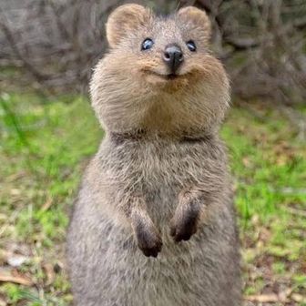 山歩きてくてく🐾