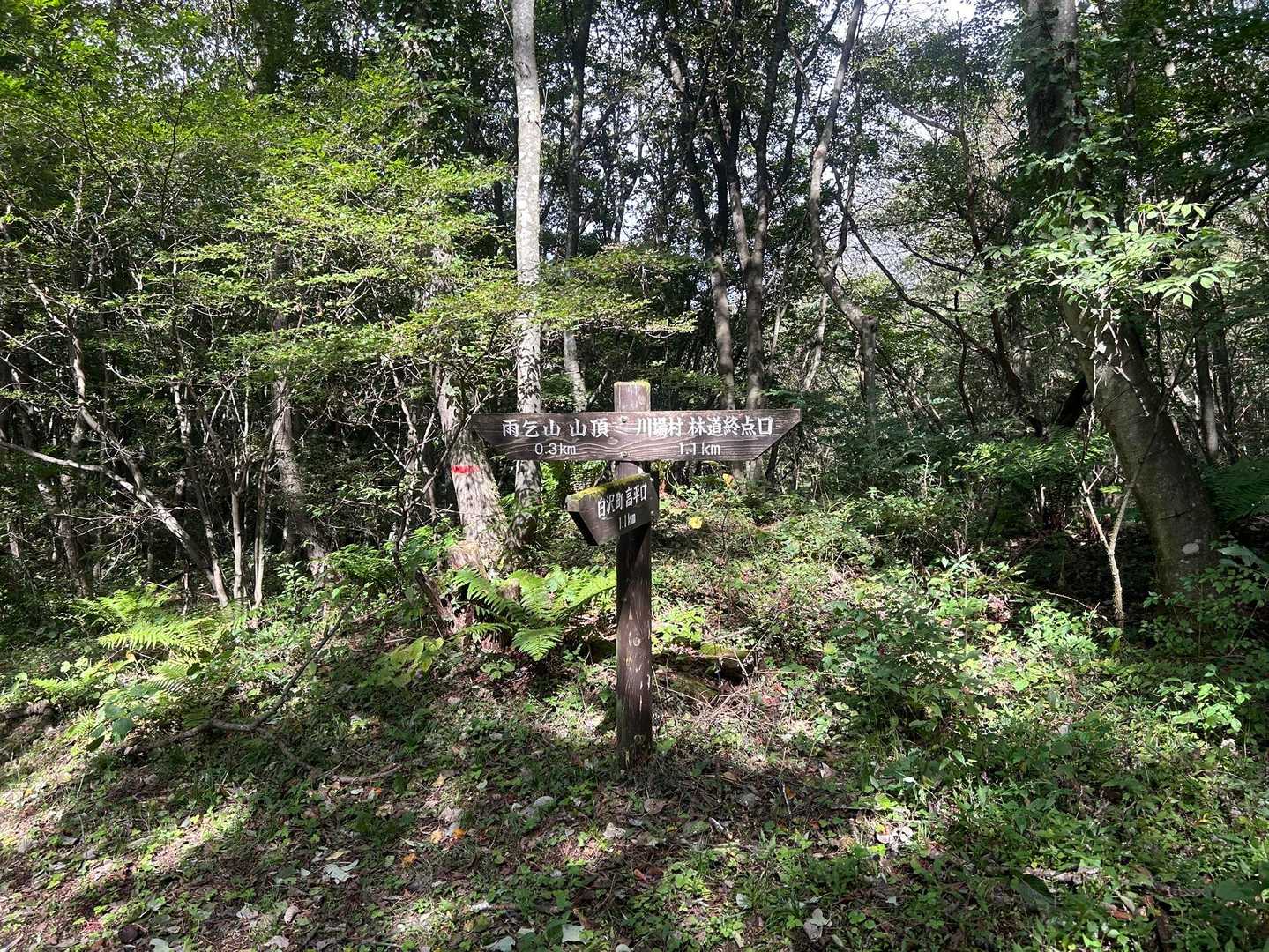 分岐です
雨乞山まで300m
今度は川場村林道からも歩いてみたいな‼️
