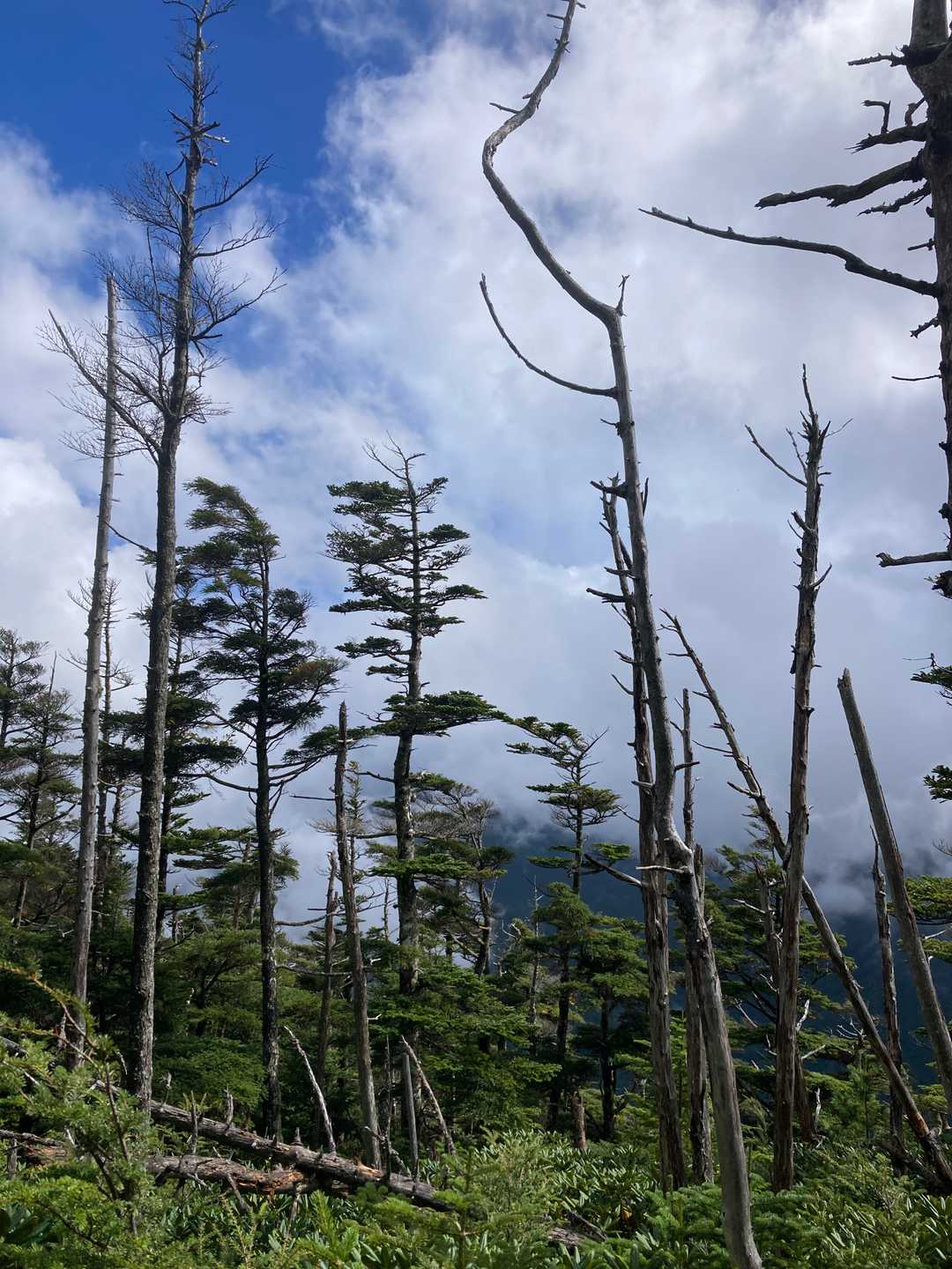 青空が少しだけ