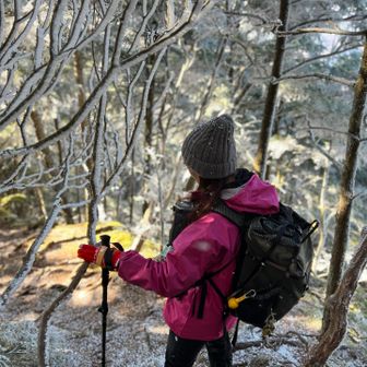 わざと枝揺らして