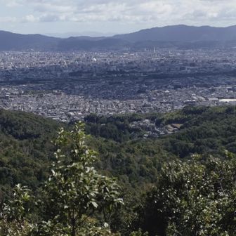 左から
綿向山、雨乞岳、
御在所岳、鎌ケ岳‼️

蓬莱山も見えます！