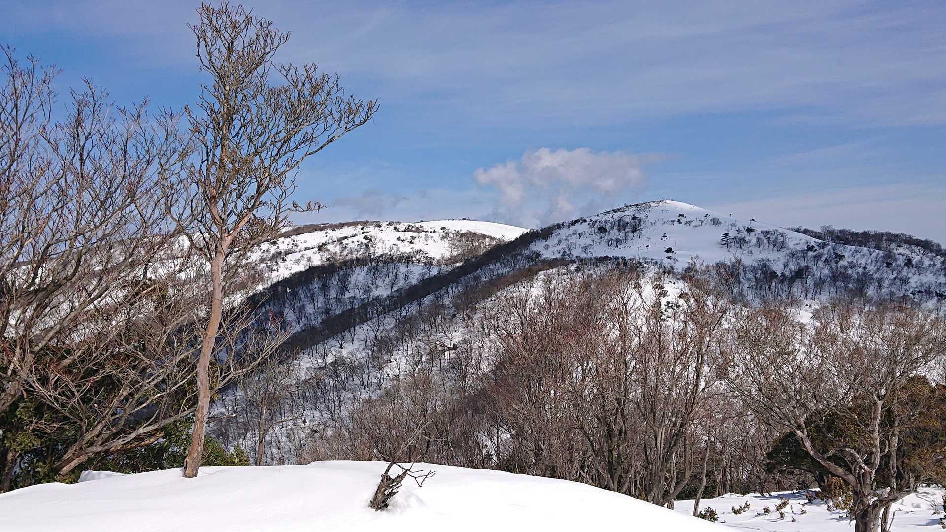 アラキ峠-権現山 往復コースの写真