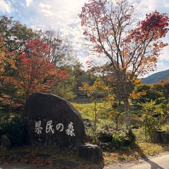 公園センターに戻ってきました。

朝には1台も車が停まってなかったのに、めっちゃ車🚙停まってるやん😳

今日も⛰️🍁を満喫出来た、いい１日でした😊