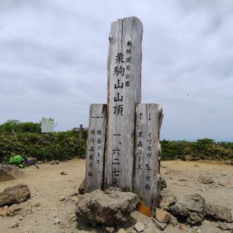 山頂到着🙌山頂は虫が飛び回っていました😂