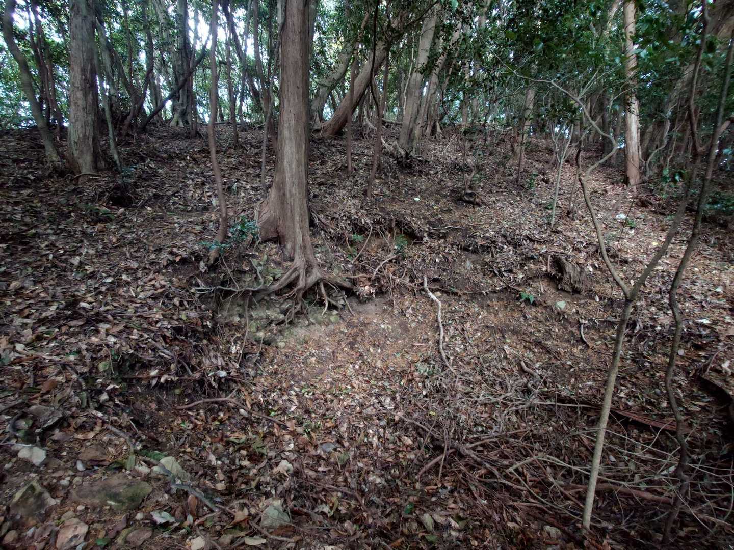 こんなとこもうまってる