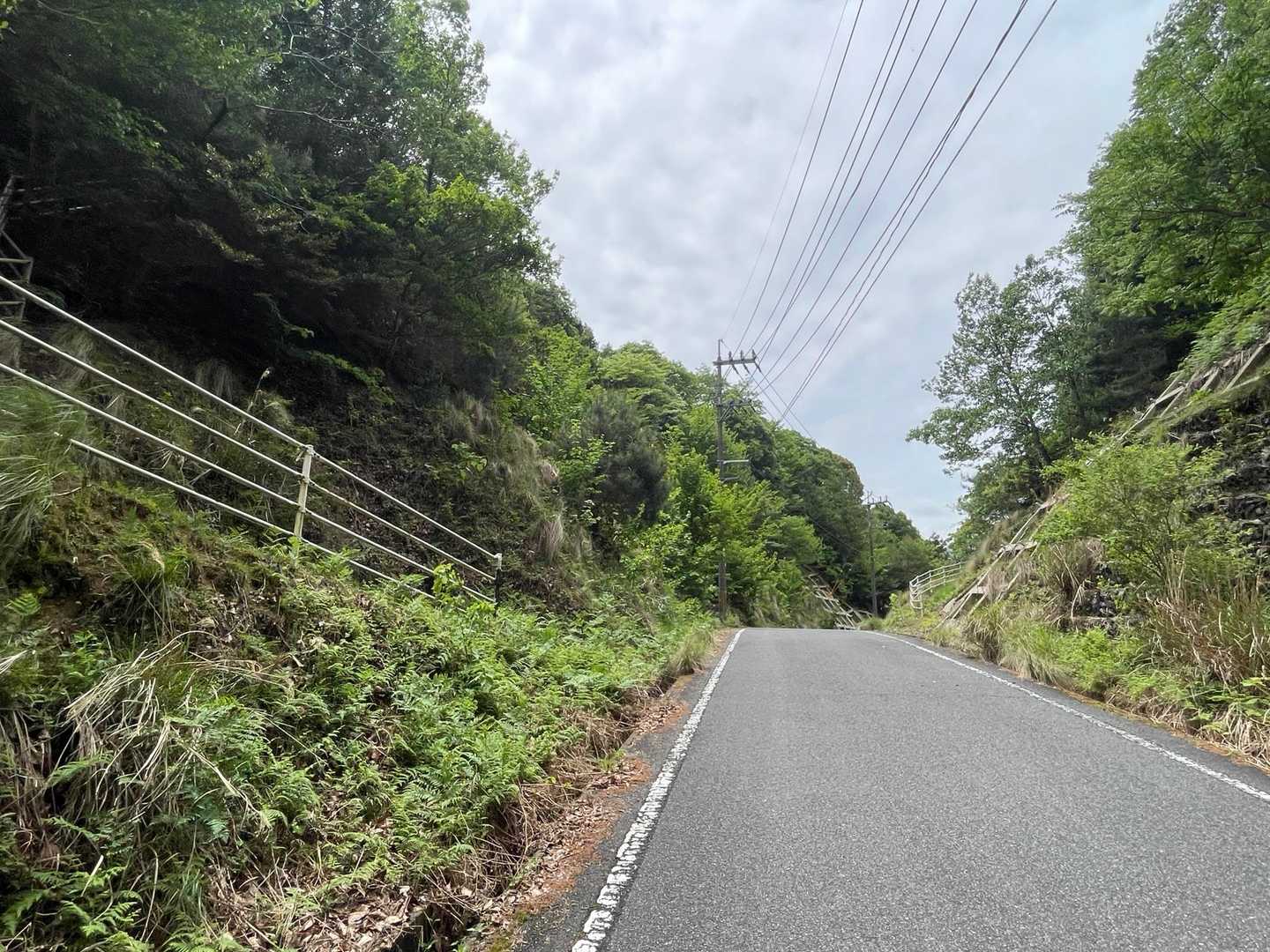 →の椎村山から登ります