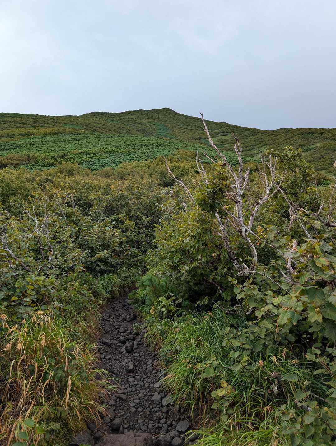視界が開けてきて長官山が見えてきた⛰️