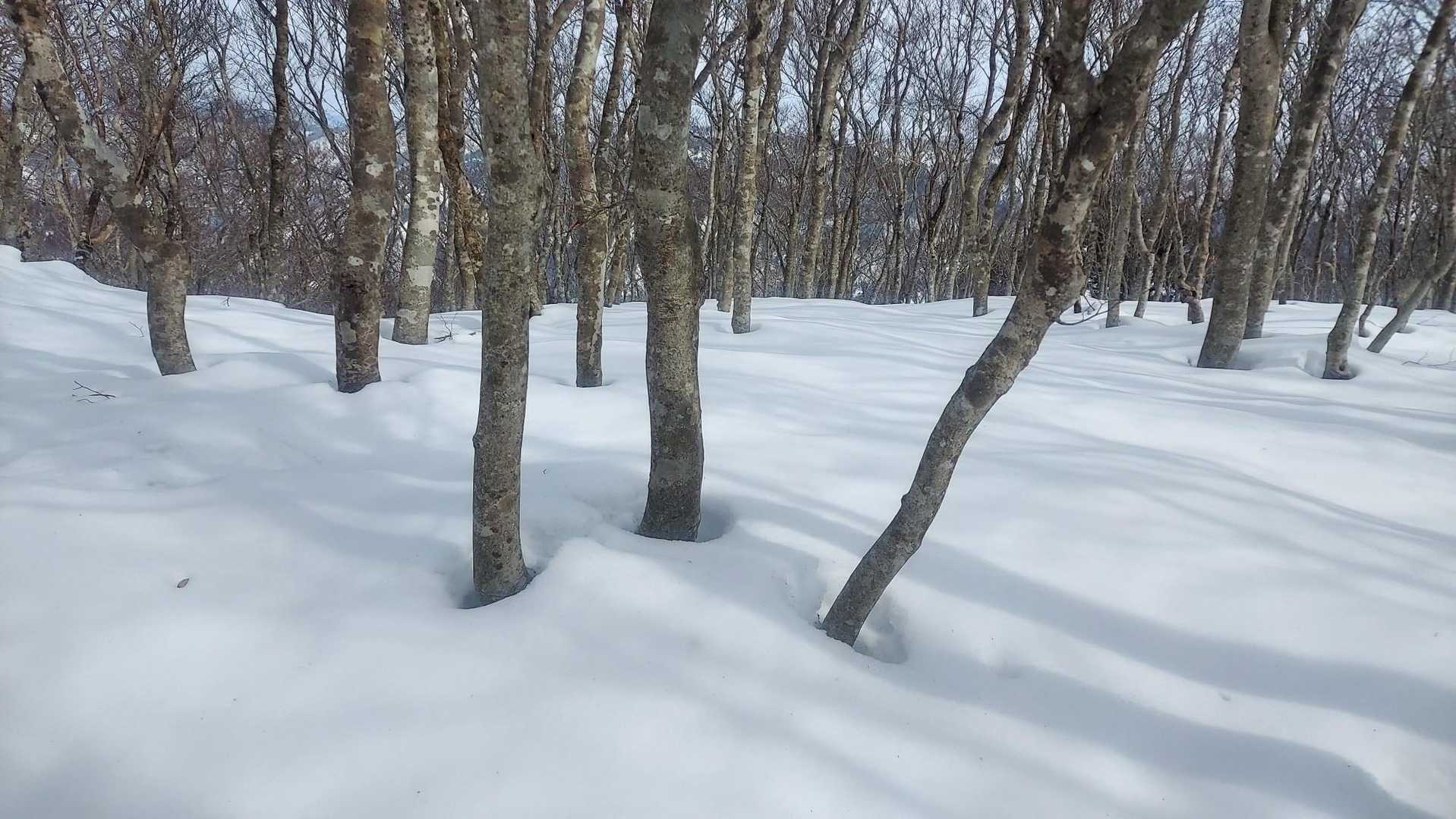 どこでも歩けそうですが、締まっていないのでワカンでもかなりずぼります💧