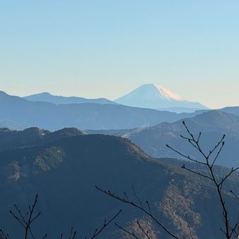 iPhone５倍ズームで撮影