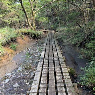 ちゃんと歩道作ってるところもある