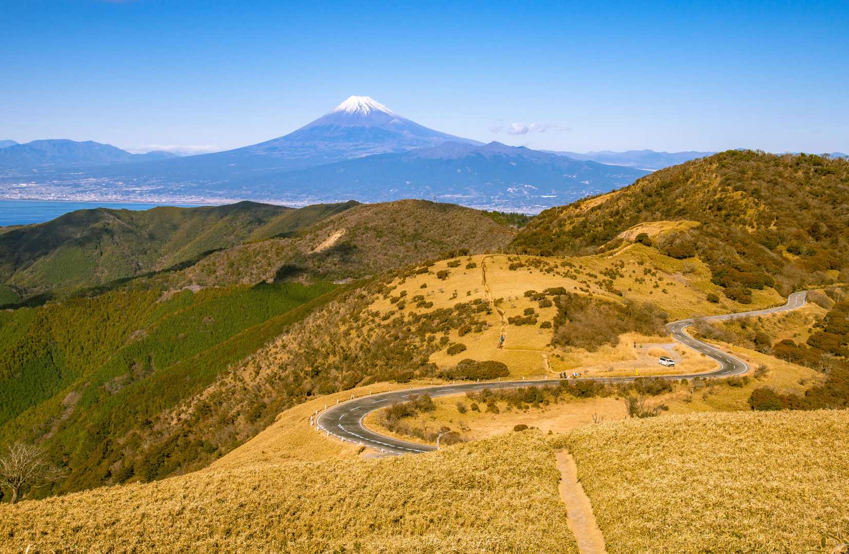 達磨山に登り始めたところで振り返る。