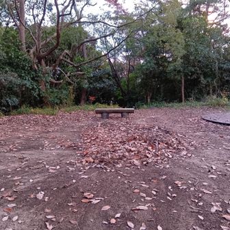 打越山山頂。山名板無し😭