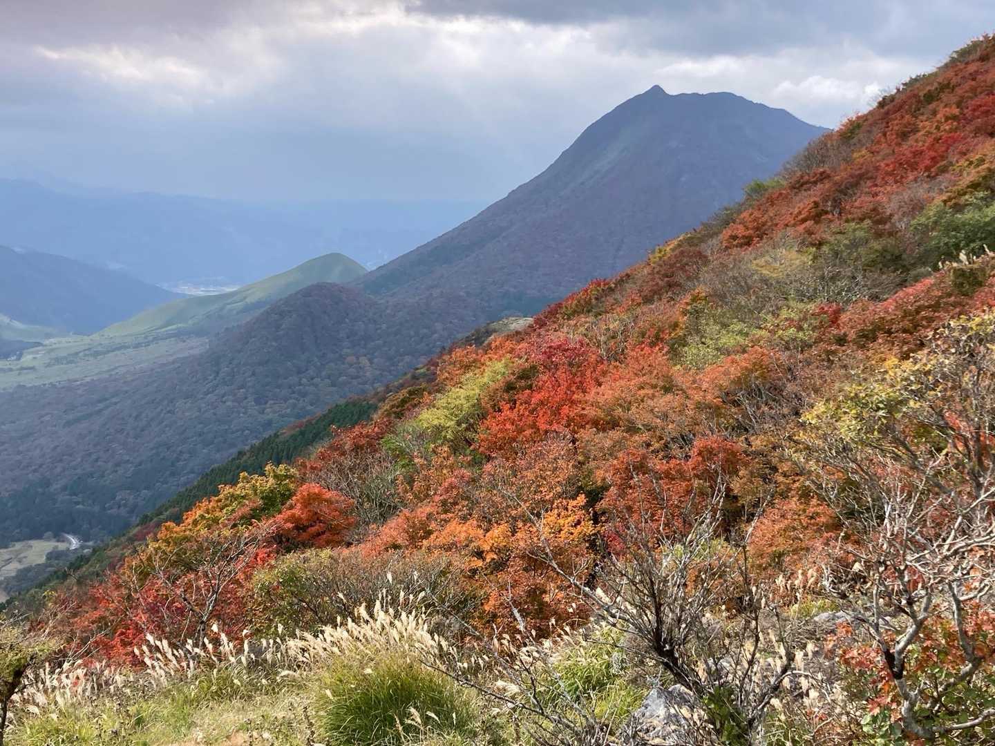 由布岳と紅葉🍁
