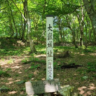 小谷山山頂の先の大獄城址