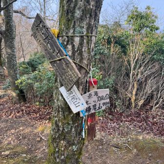 ここからちょっと行くと、それ以降急坂下り。結構な坂だった