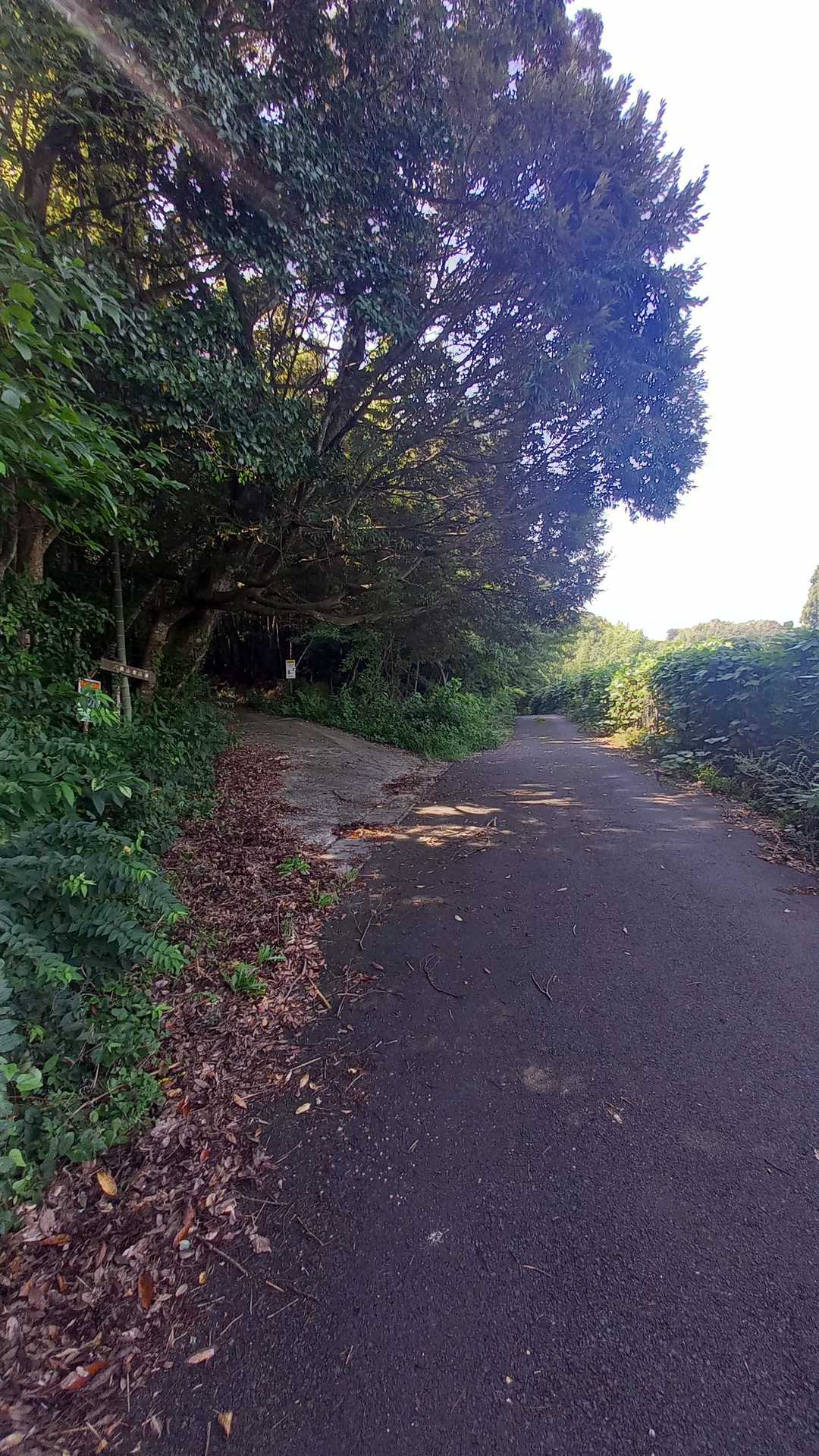登山口。左。