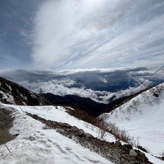 晴れてきた〜🌤️