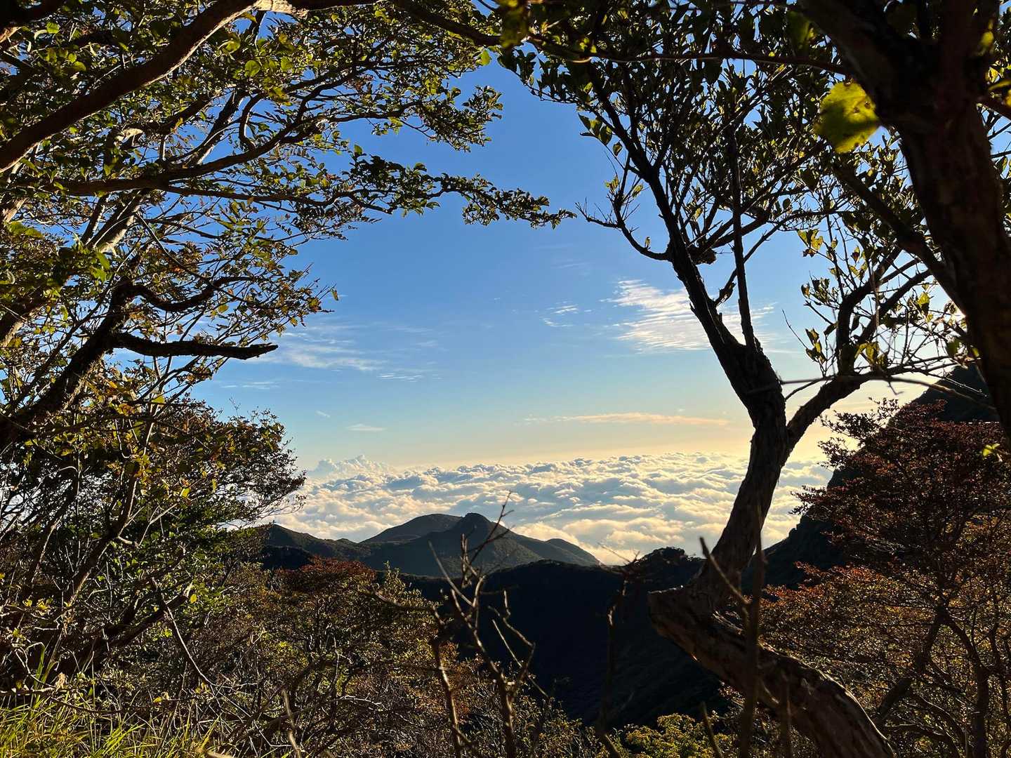 景色を楽しみながら下山しました！