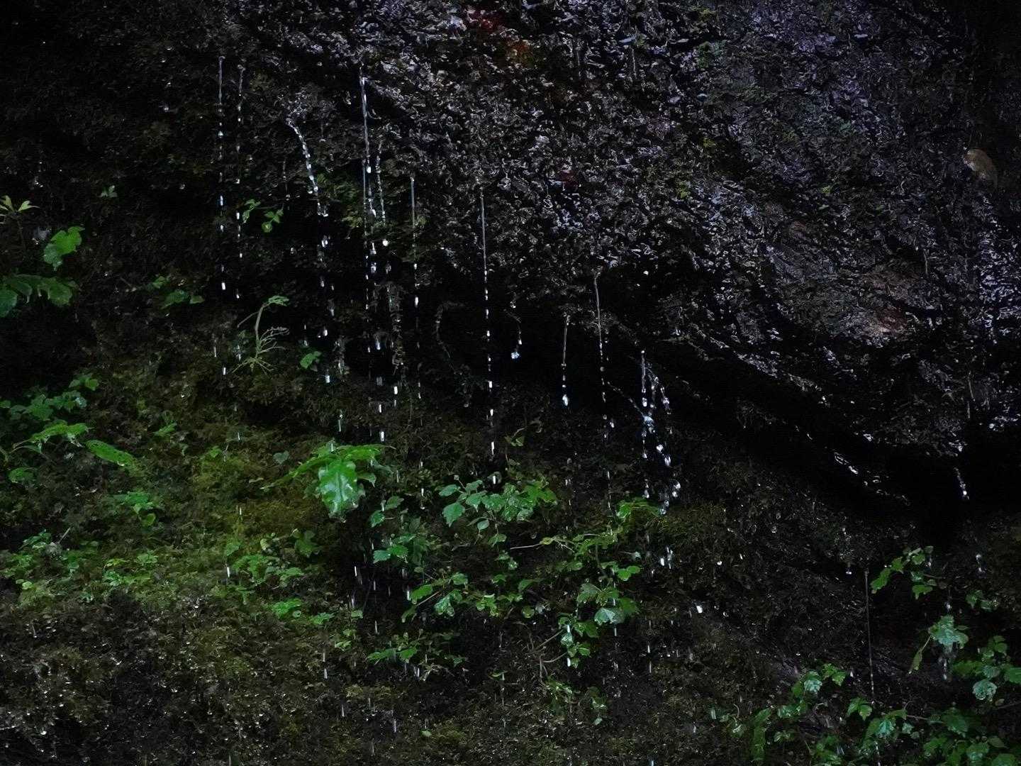 瑞梅寺登山口-井原山-水無登山口 周回コースの写真