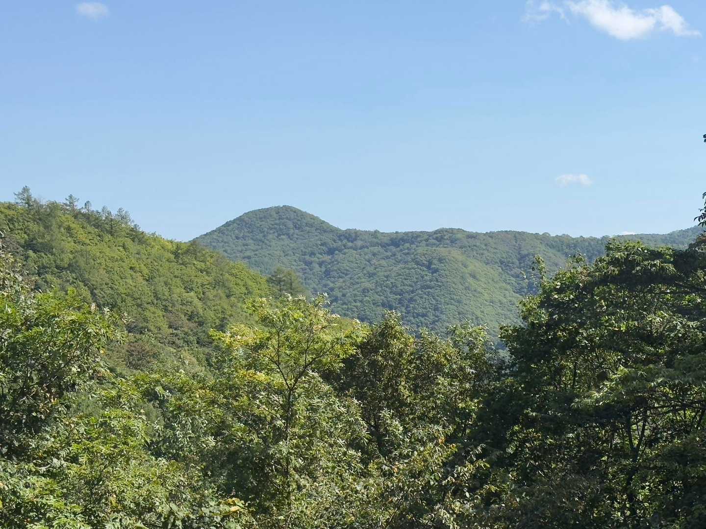 時折視界が開け銭天など周囲の山が見えると気力回復💪