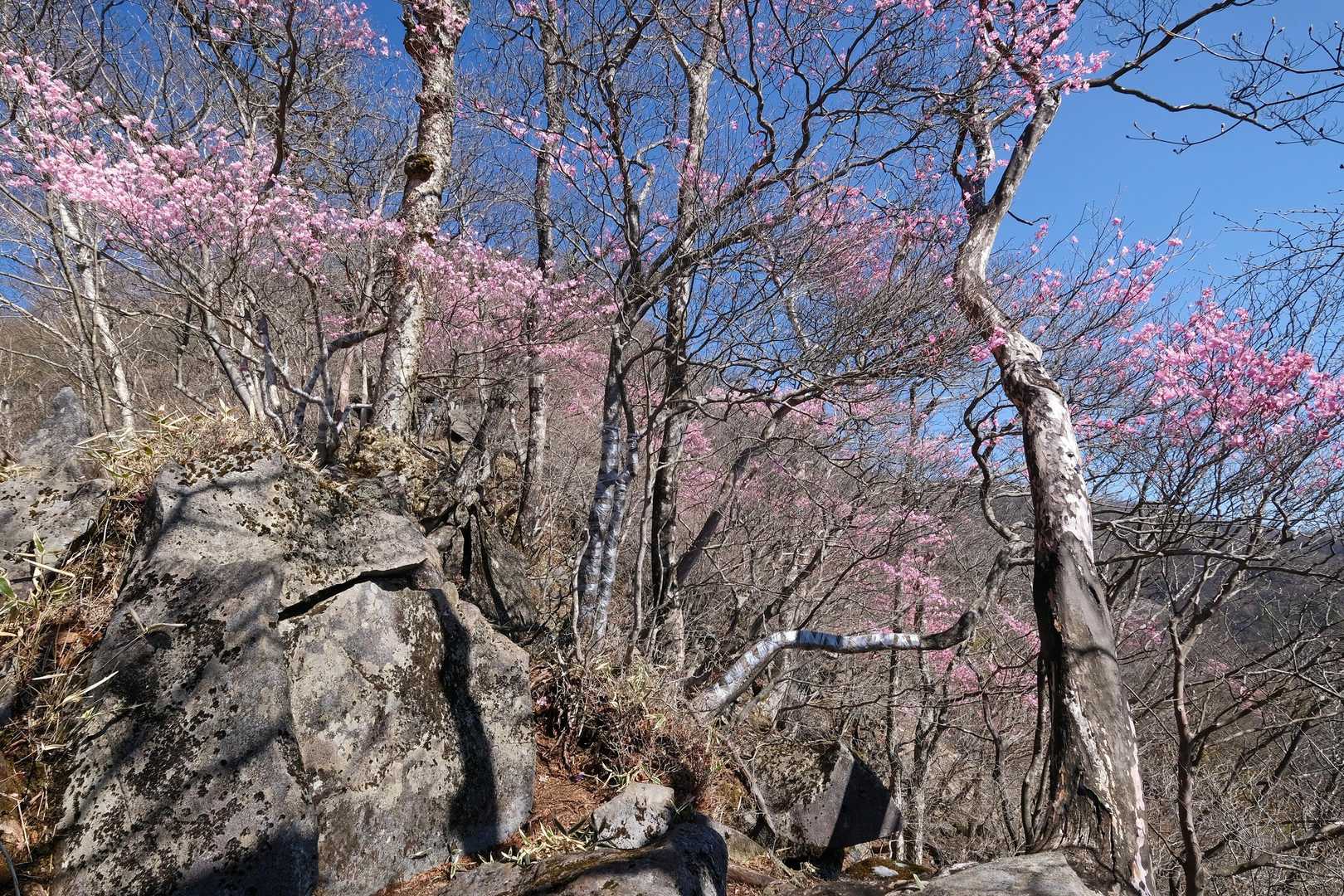 左下の岩。
右30°斜め上目線？