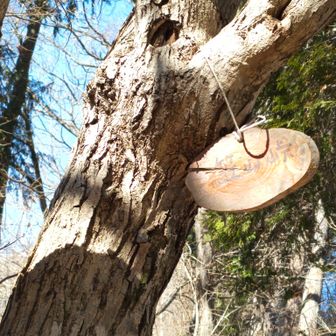 笠山峠　この後風が当たらなくなりました　斜面の向きの関係でしょうか？