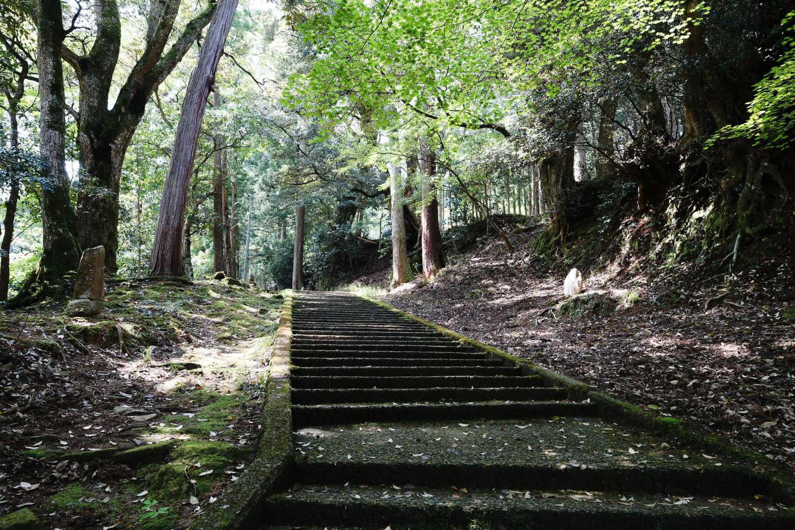 来日岳-大師山-城崎温泉駅 縦走コースの写真