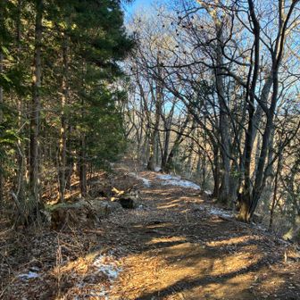 ここからちらほら雪が残っていました。
