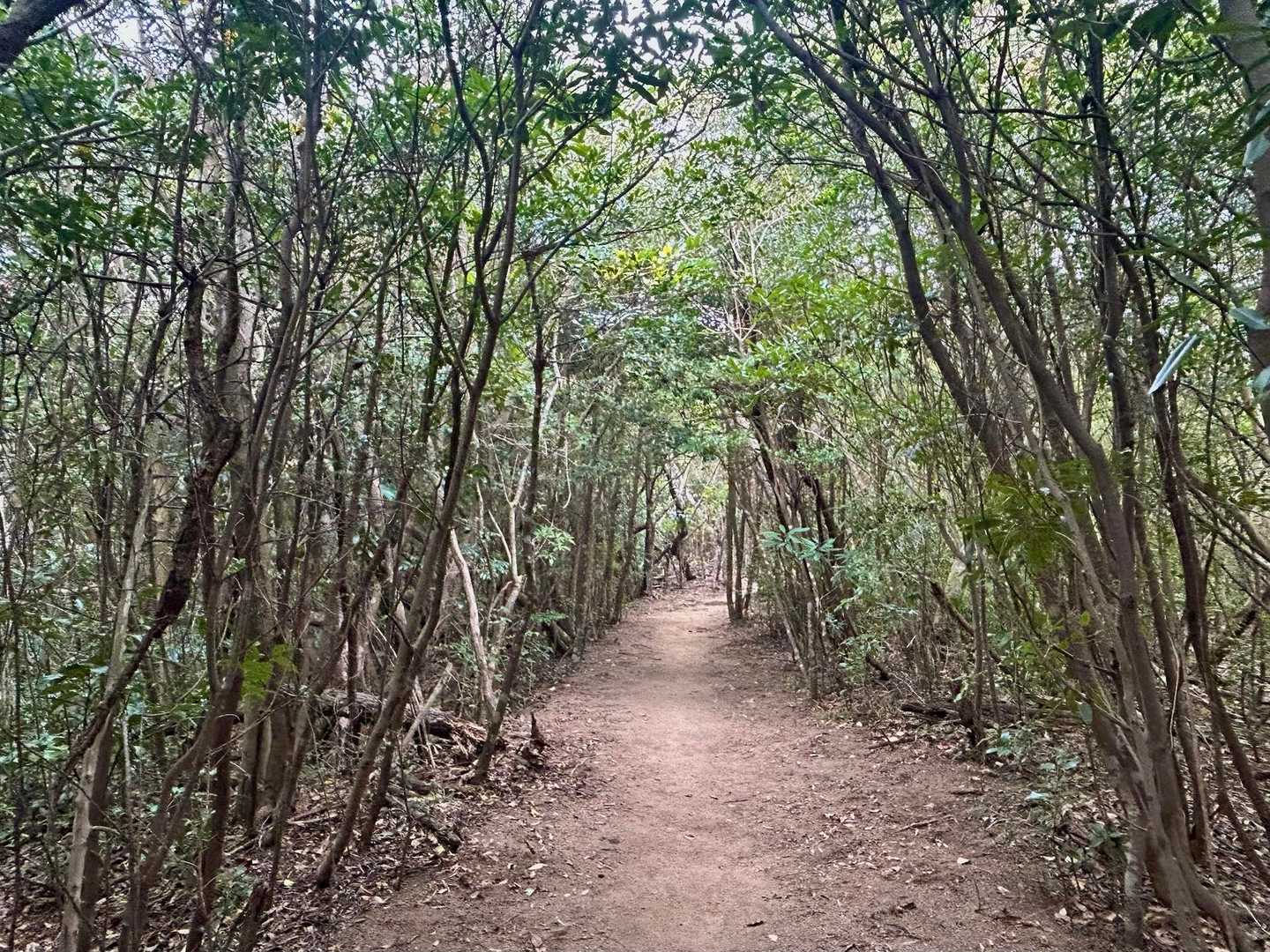 日ノ山 周回コースの写真