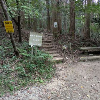 北側へ降りる　たくさんのトレイルが迷走していてうっかりしていると別のところに出てしまう