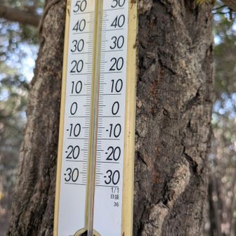 山頂 山友2人  20℃