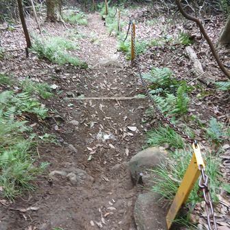 鷲頭山や徳倉山の鎖場でもコケなかったのに、この後の横山でコケました。疲れが脚にきてる？