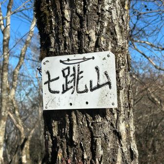 七跳山の山頂標識は、YAMAPが示すピーク位置の隣の小高いピークにありました。