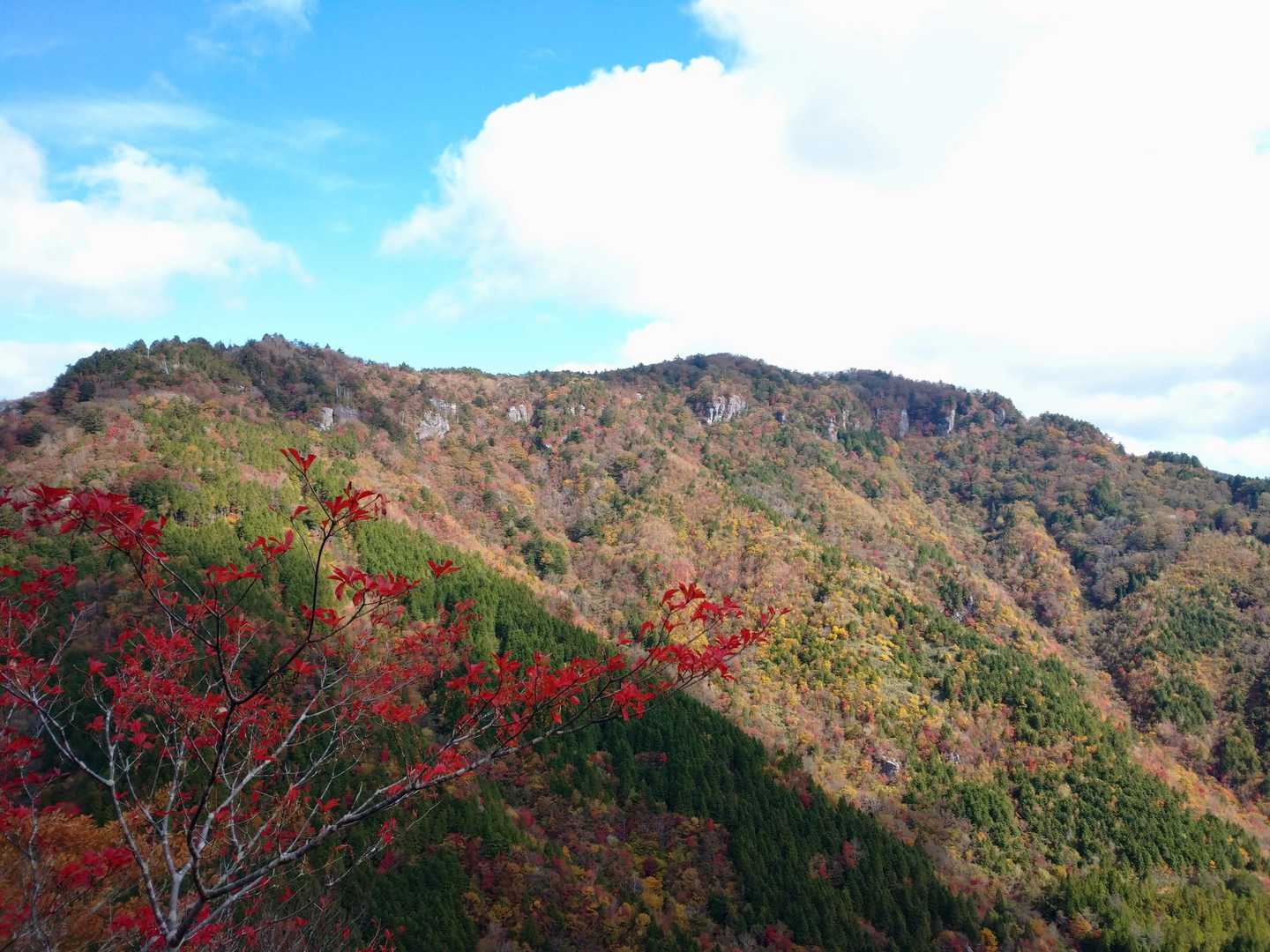 展望岩場から。ん～、西門山かな。かっこいいな。