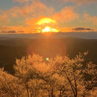 いいですねー👏