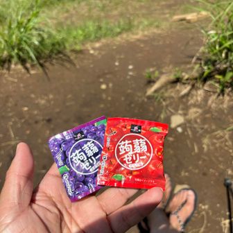 本日も凍らせきた👍😋
