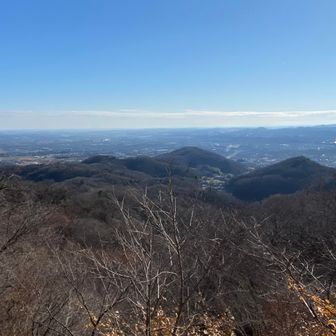 穏やかな年の瀬！ありがたいですう！
