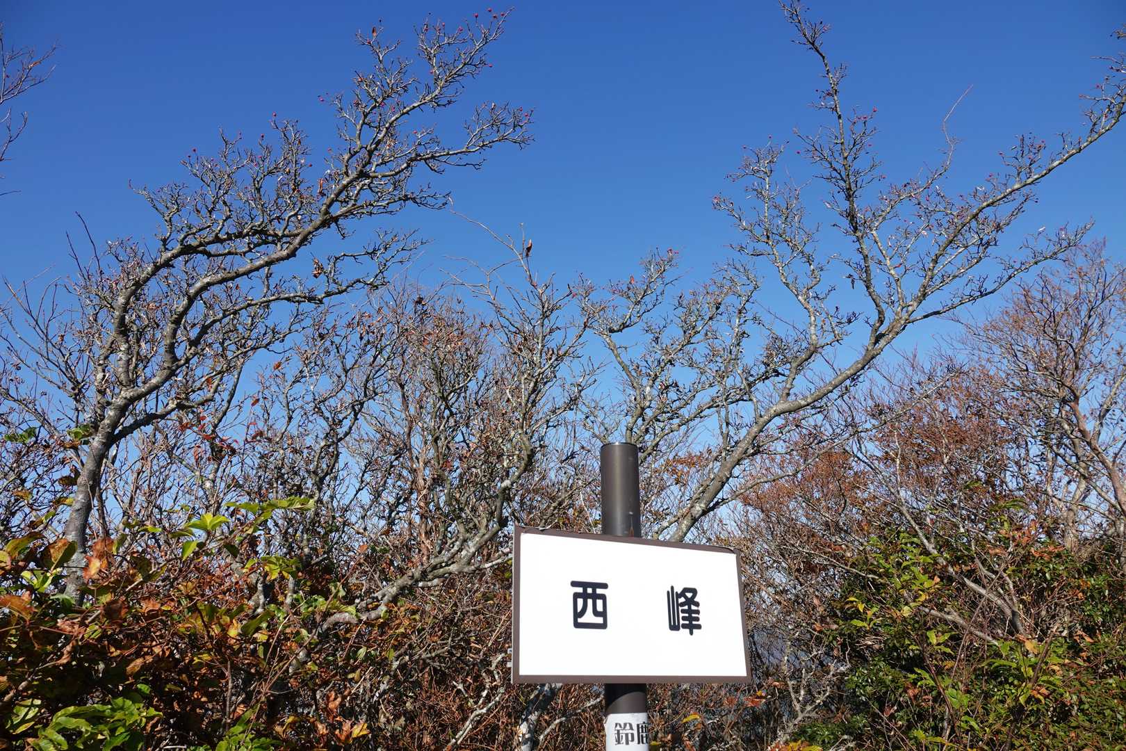 ▲銚子ヶ口西峰