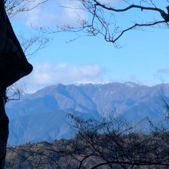 剣山ぽい、前日より白くなってる
隙間から覗きまくり🤤
覗きが趣味なわしからしたら得意技😎