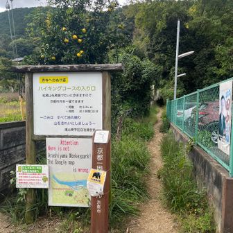 嵐山側の登山口です
