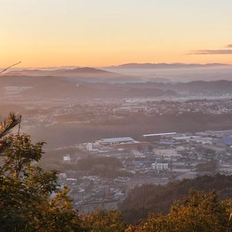 空気がすみれ色に輝き始めました。
