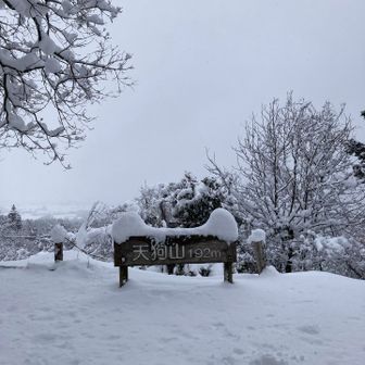 天狗山に来ました。