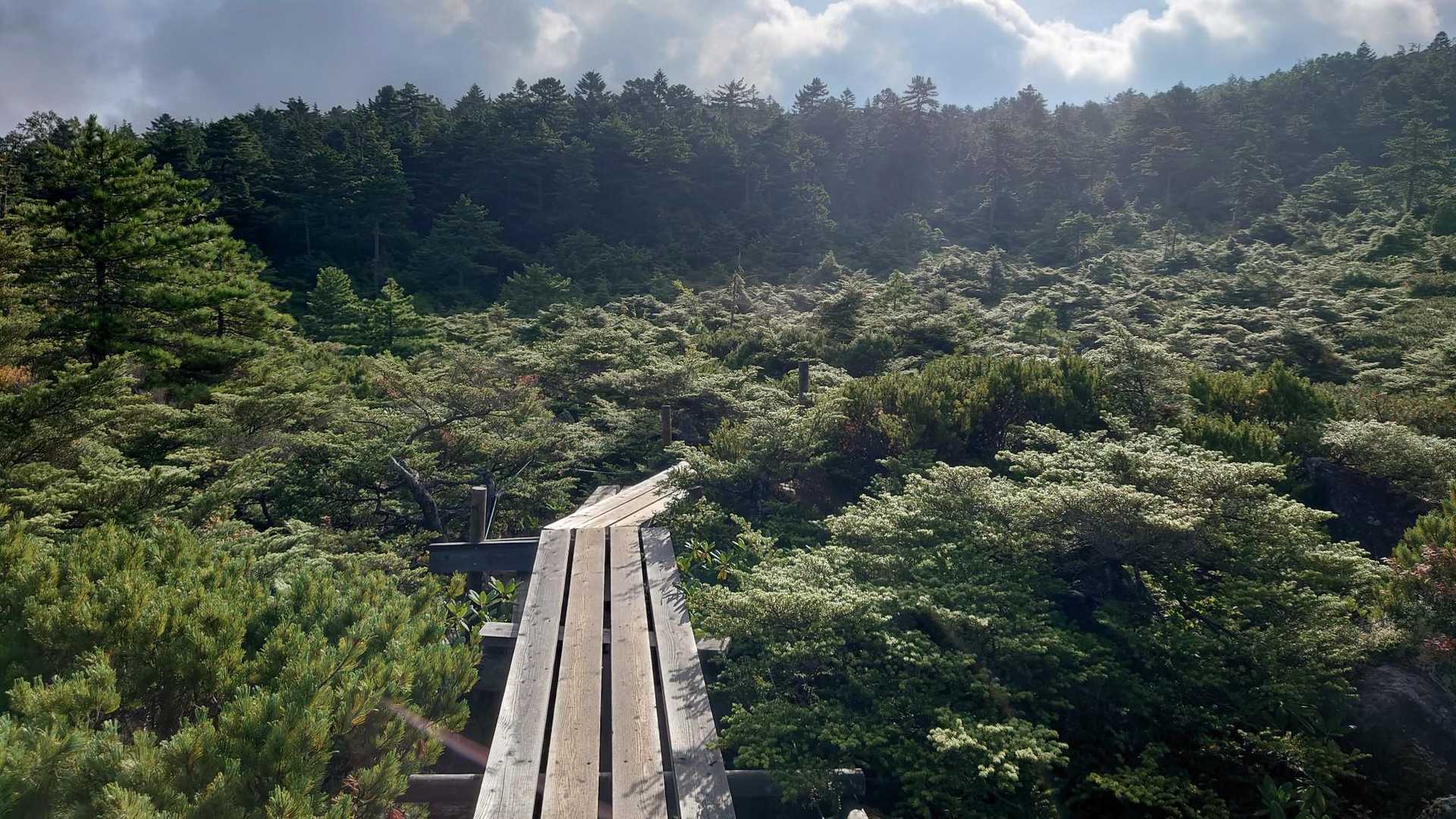 北八ヶ岳の景色という雰囲気❤️